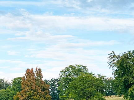 22-09-10 18-21-45 1984